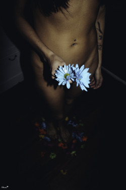 eightythree4eightythree:  Flower GirlBy Jesse Greene