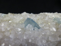 fuckyeahmineralogy:  Fluorite in quartz; Bingham, New Mexico