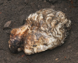 wolfsmilk: Marble Head of Aphrodite Found in Ostia Antica