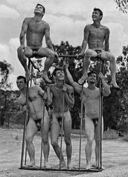 vintagemusclemen:Is the some sort of jungle gym for older boys?