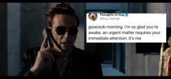 marveliciousfanace:  Crowley + Thoughts of Dog Twitter Bonus