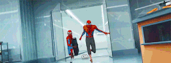 oui-ladybug: Spider-Man: Into the Spider-Verse (2018) dir. Peter