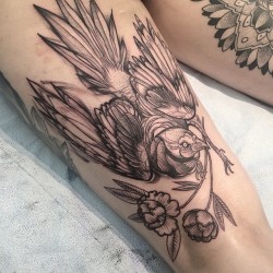 electrictattoos:  nomicheese:  First day at @utility_tattoo !!