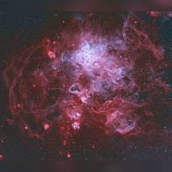 The Tarantula Nebula #nasa #apod #tarantulanebula #ngc2070 #starcluster