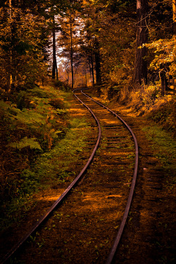 bluepueblo:  Forest Rail, British Columbia, Canada photo via