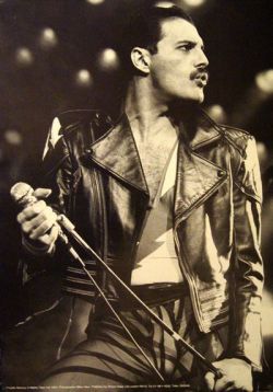 nostalgia-gallery:  Freddie Mercury 