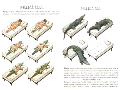 unexplained-events:  Codex Seraphinianus Written in a strange