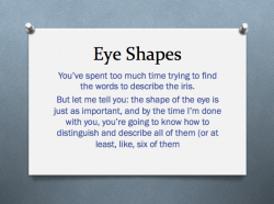samswritingtips:  The basics of eye shapes for writers. My sources