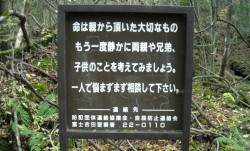 sixpenceee:  A large sign on the edge of Aokigahara, Japan’s