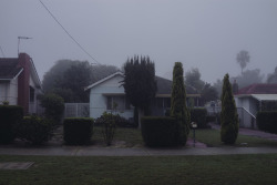 michaelwwilson-blog:Decent fog around the suburbs of Perth this