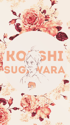 tsukis:  sugawara koushi (+karasuno team) wallpapers  [540x960]