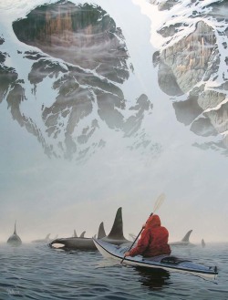 blazepress:  Kayaking with orcas.