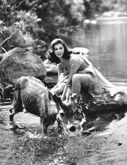 alwaysbevintage:  Pier Angeli photographed by Allan Grant, 1954