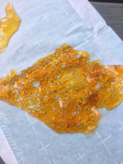 shatterkitty:  This grease monkey tho 😻🔥