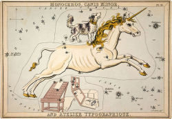 blondebrainpower: Medieval and renaissance stories of the  unicorn
