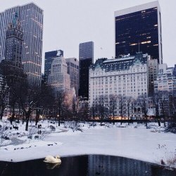 kseniablog:  http://kseniablog.tumblr.com/