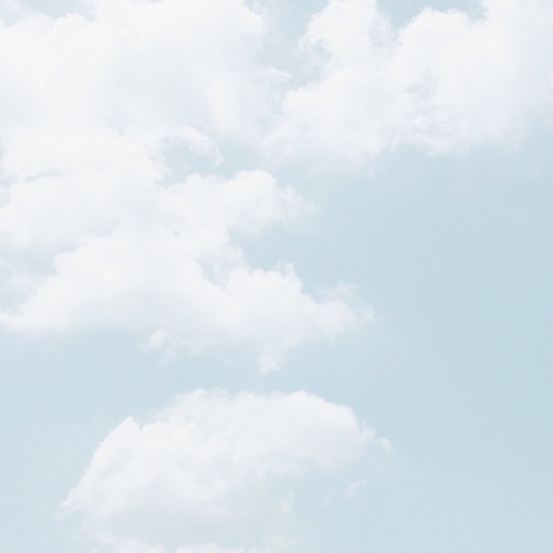 skyberrii:  all photographed by skyberrii   â™¡.Â°â‘…     