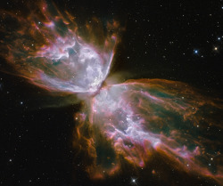 humanoidhistory:  BUTTERFLY NEBULA — There’s more than one