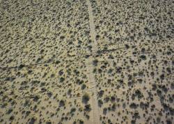 abandonedography:    This road is misaligned after a California