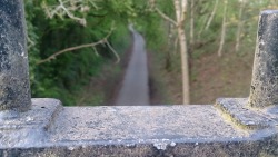 On the bridge from the mystical area behind my house.