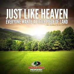 kansas country