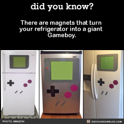 did-you-kno:  There are magnets that turn your refrigerator into