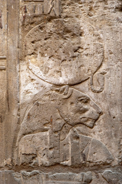 grandegyptianmuseum:  The warrior goddess Sekhmet (the powerful
