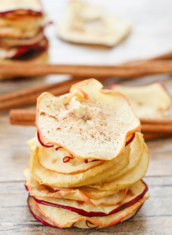 fullcravings:  Apple Chips  We should make some when we have