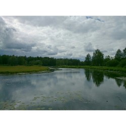 #Footpath. #WildLife 7  Near #PalacePark, Teplaya #river, #Gatchina