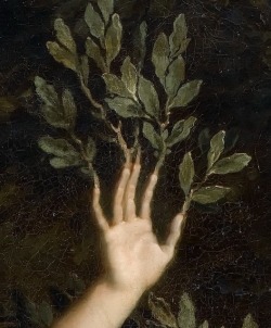 rubenista:René-Antoine Houasse, Apollo pursuing Daphne (detail),