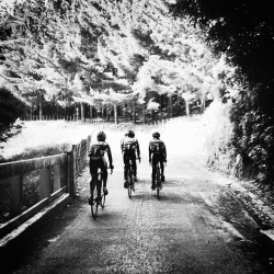 fabbricadellabici:  Hiding from the wind in Makara Valley this