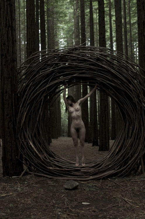 kyotocat:  my wilderness dark & ambiguous, will you tangle me in?  kyotocat | Jason Schaefer 