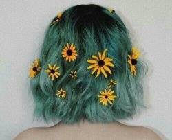 🌼🌼🌼