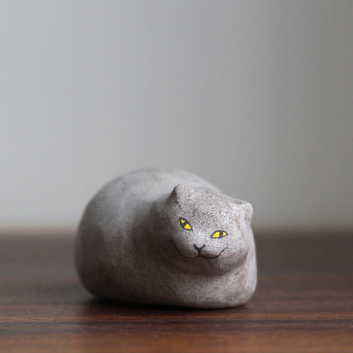 dawningcrow:  Grey great chonky