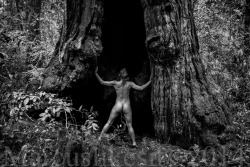 marcuslikesit:  Nude in Redwood Forest California Photography