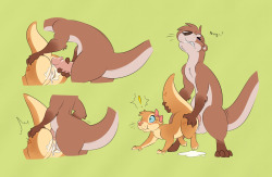 friskyfeathers:your-pal-hal:This poor ott doesn’t get to top