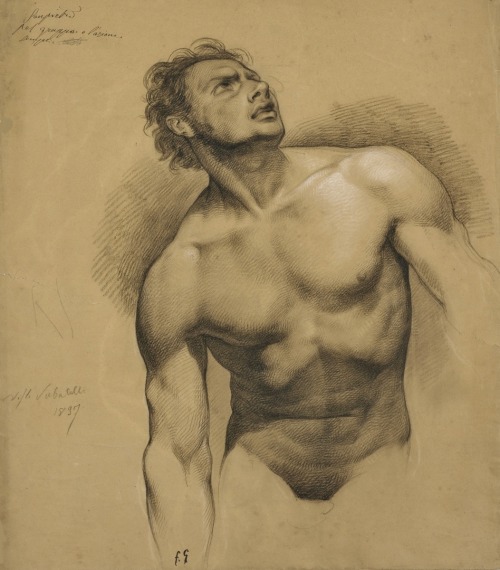 hadrian6:Male Nude Study. 19th.century. Francesco Gonin Italian