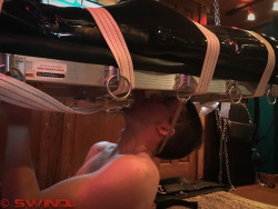 swindleleather:Nothing like putting your head into your work