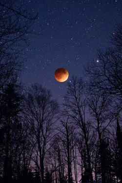 atraversso:  Total Lunar Eclipse  by Benjamin Tatrow  