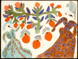 nietp:   Baya Mahieddine “Femmes et orangers fond blanc (Women