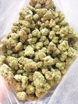 stonerthabear:  To the weekend, stay blazed everyone keep blowing