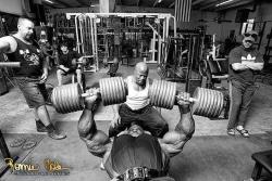 drwannabe:  Ronnie Coleman  [view all posts of Ronnie]   Animal