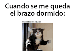 enraizada