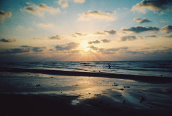 brutalgeneration:  Galveston (by Tamara Lichtenstein) 