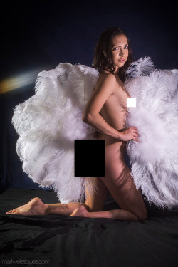 “Feather Fans,” 2019Find this special series and all my uncensored