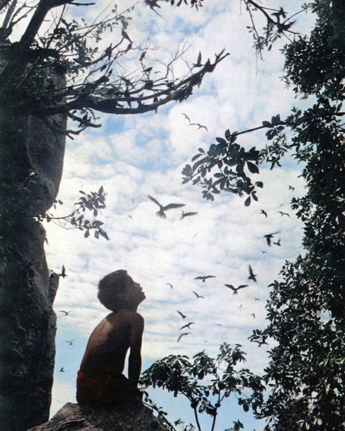 equatorjournal:  Seychelles, 1968. Photo by Christian Zuber.