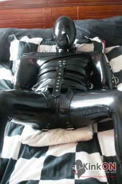 thekinkon:  Bender straight jacket in action¡ this gimp is going