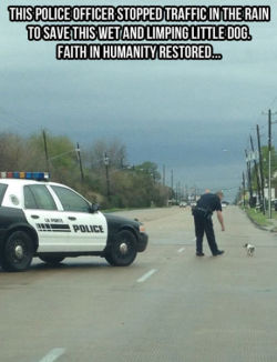 ebonydecay:  webofgoodnews:  Animals getting help from people.