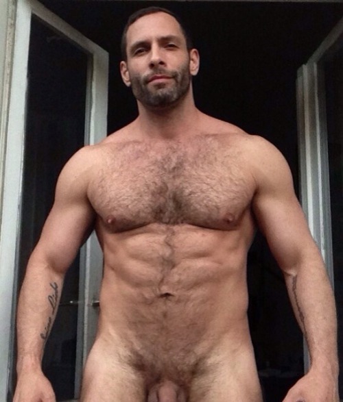 HOT HAIRY DILF… hairy-chests:  @hairychestsxÂ Â Â Â Â SubmitÂ  Â  Â MoDeL GÂ Â Â Â Â Â Cock - Gif 