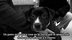 #LaCrudaVerdad